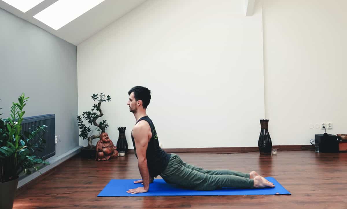 pes tvarou hore joga asana